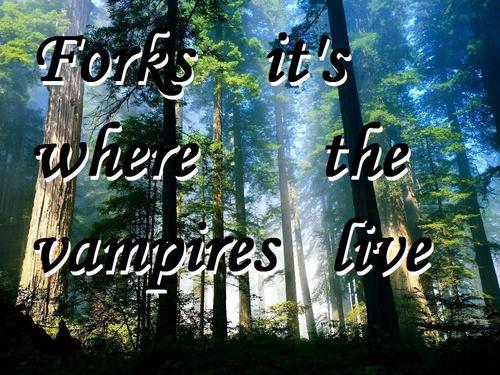  forks it's where the vampire live