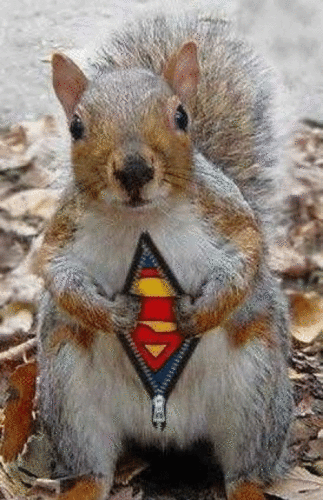  super squirl