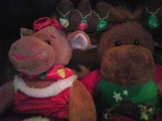  houx and Hal Moose