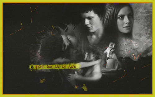  Cook & Effy; Your Sex Is On feu