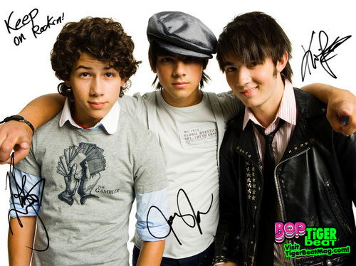 JONAS BROTHERS SIGNED POSTER 