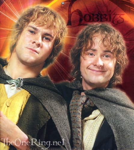 Merry&Pippin