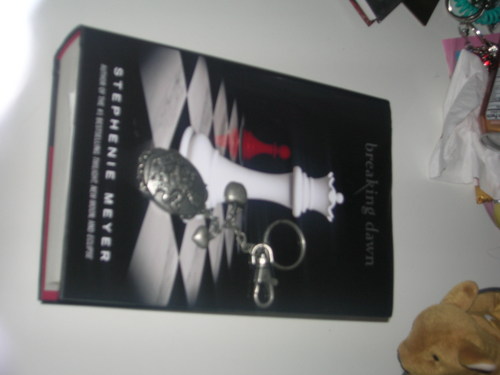  My お気に入り book with my keychain