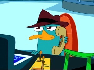  Perry the Platypus