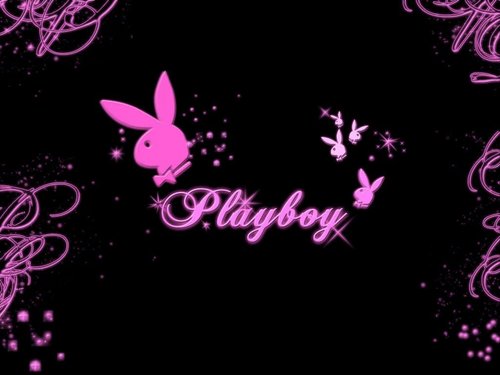  PlayBoy Bunny