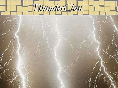  ThunderClan, A Lightning Storm