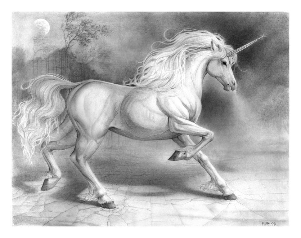 Unicorn Unicorns Fan Art (5943151) Fanpop