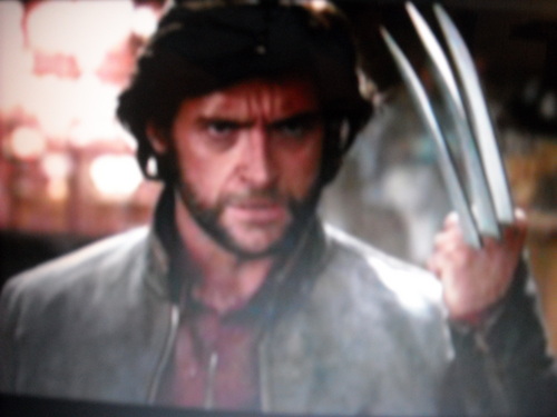  Wolverine-