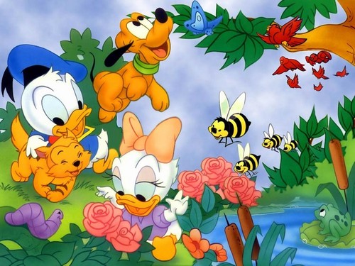  Baby Donald and Baby bunga aster, daisy wallpaper