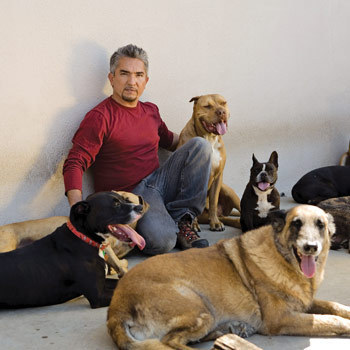 Cesar with the dogs