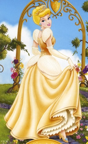  Princess Cinderella