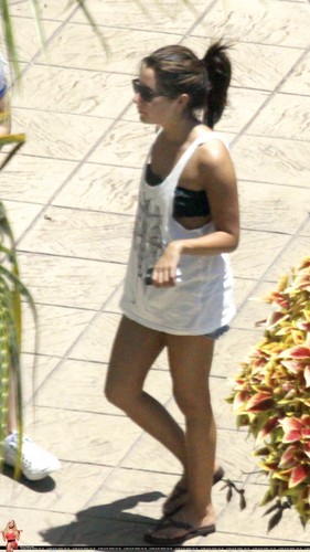  Ashley relaxes poolside at her Miami hotel with Друзья - May 11