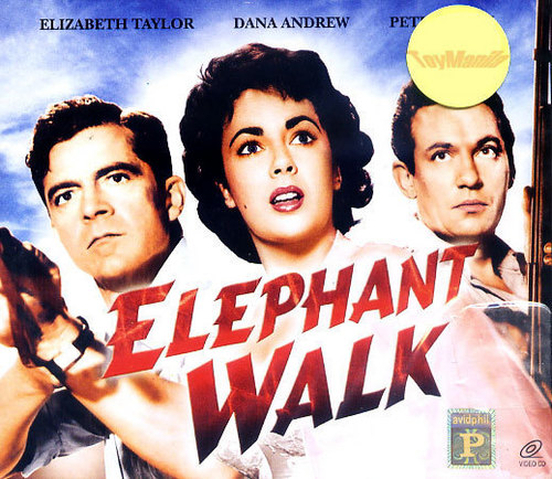  elefante Walk