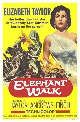 Elephant Walk 