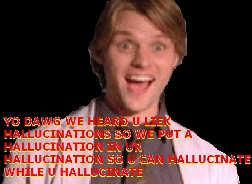  So Many Hallucinations