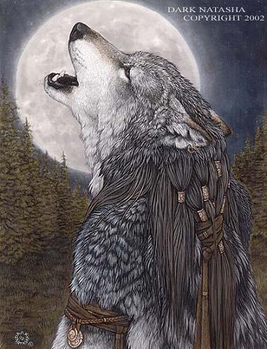  grey werewolf