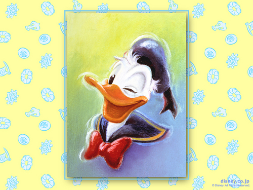  Donald bebek wallpaper