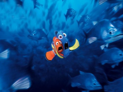  Finding Nemo 壁纸