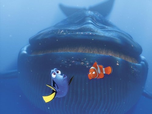  Finding Nemo karatasi la kupamba ukuta