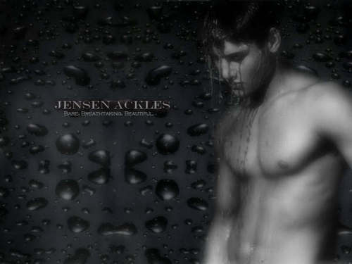  Jensen in シャワー