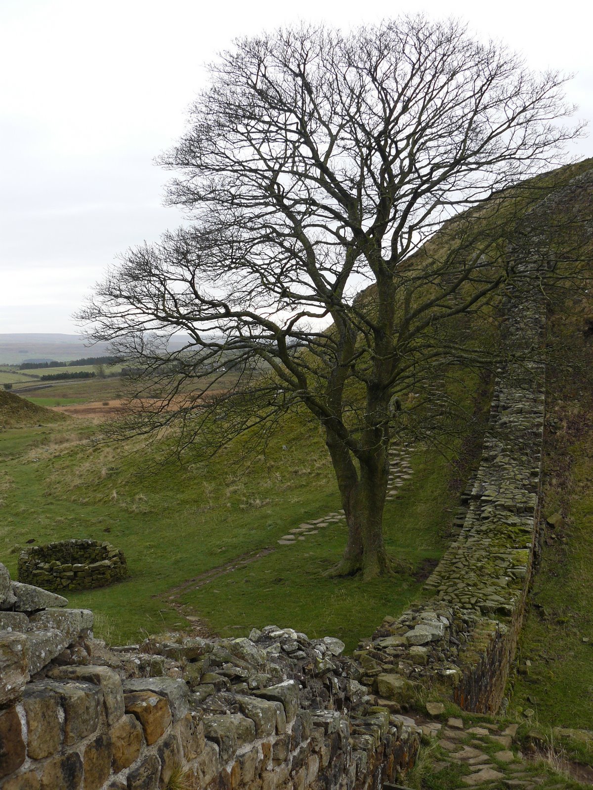 Northern England - Hadrian's Wall, Sycamore Gap 