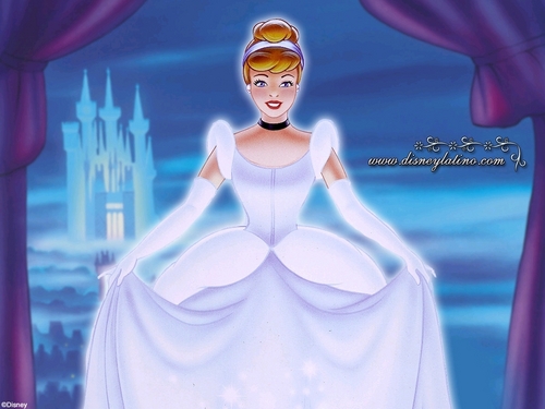  Princess cinderela