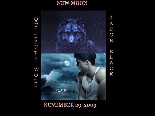  my new moon movie poster