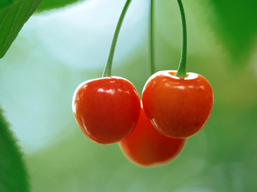  Cherries দেওয়ালপত্র