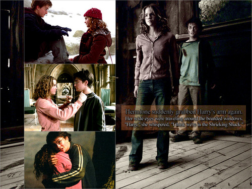  Hermione and Harry
