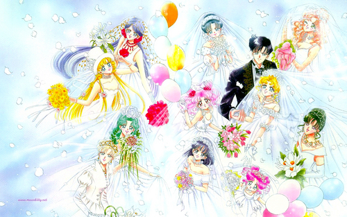  Sailor Wedding (Widescreen)