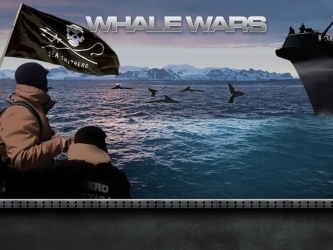  鲸, 鲸鱼 Wars
