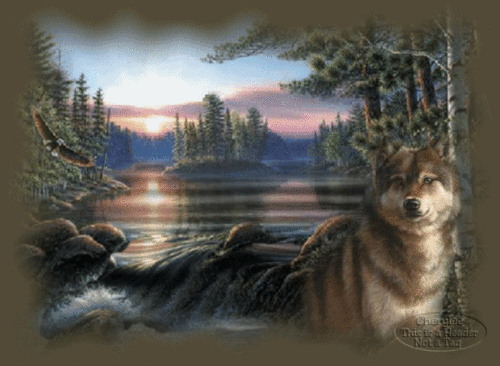 Wolf Lake,Animated