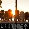  'Where The Wild Things Are'