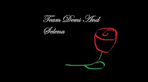  team demi and selena