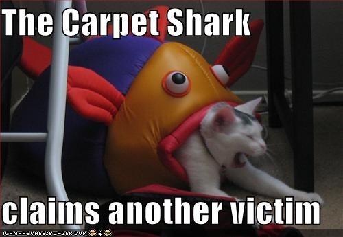  Carpet tubarão