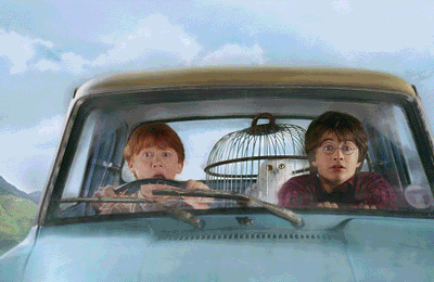  Harry Potter and the Chamber of Secrets