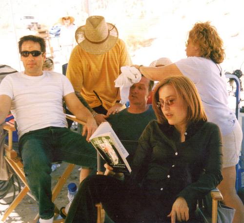  David and Gillian, Filming The Truth