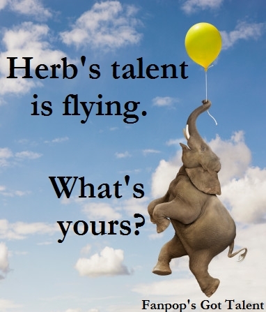  Herb's Got Talent