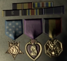 Hood's Medals