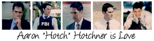  Hotch is 愛