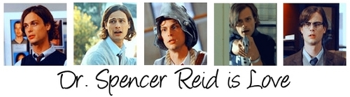 Spencer Reid is Amore