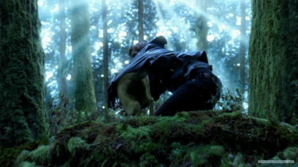 http://images2.fanpop.com/images/photos/6600000/hunting-twilight-series-6638960-1024-576.jpg