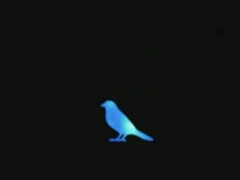  Blue bird_ikimono gakari