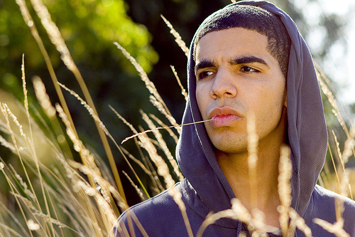 Drake in a field