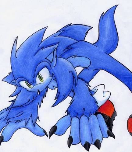  My Sonic Werehog Drawing