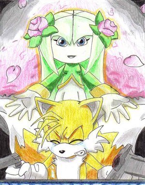 tails the lover
