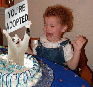  Birthday Surprise Kitty
