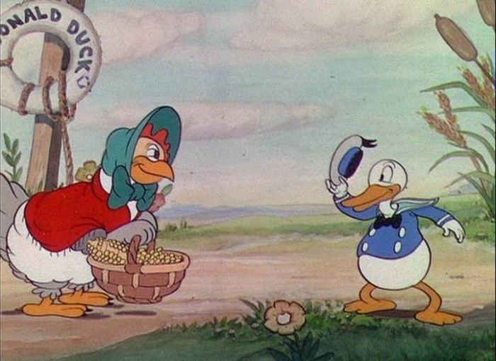 Donald's Debut in The Wise Little Hen 1934