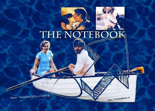  The notebook