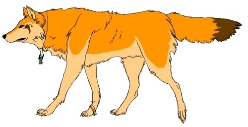  a wolf but it looks like a vos, fox